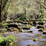 Gorges St Aubert (61) - CE Labadille