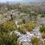 Garrigue Nesque - CE Labadille