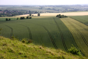 Eraines 1
