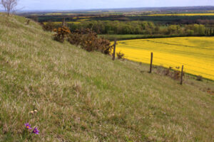 Eraines 3