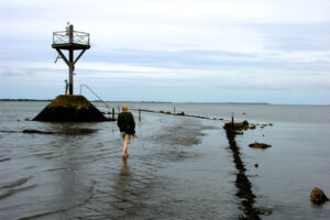 Noirmoutier Gois
