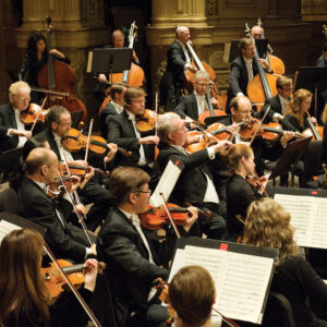 20 Strings Ensemble de cordes (wikipedia)